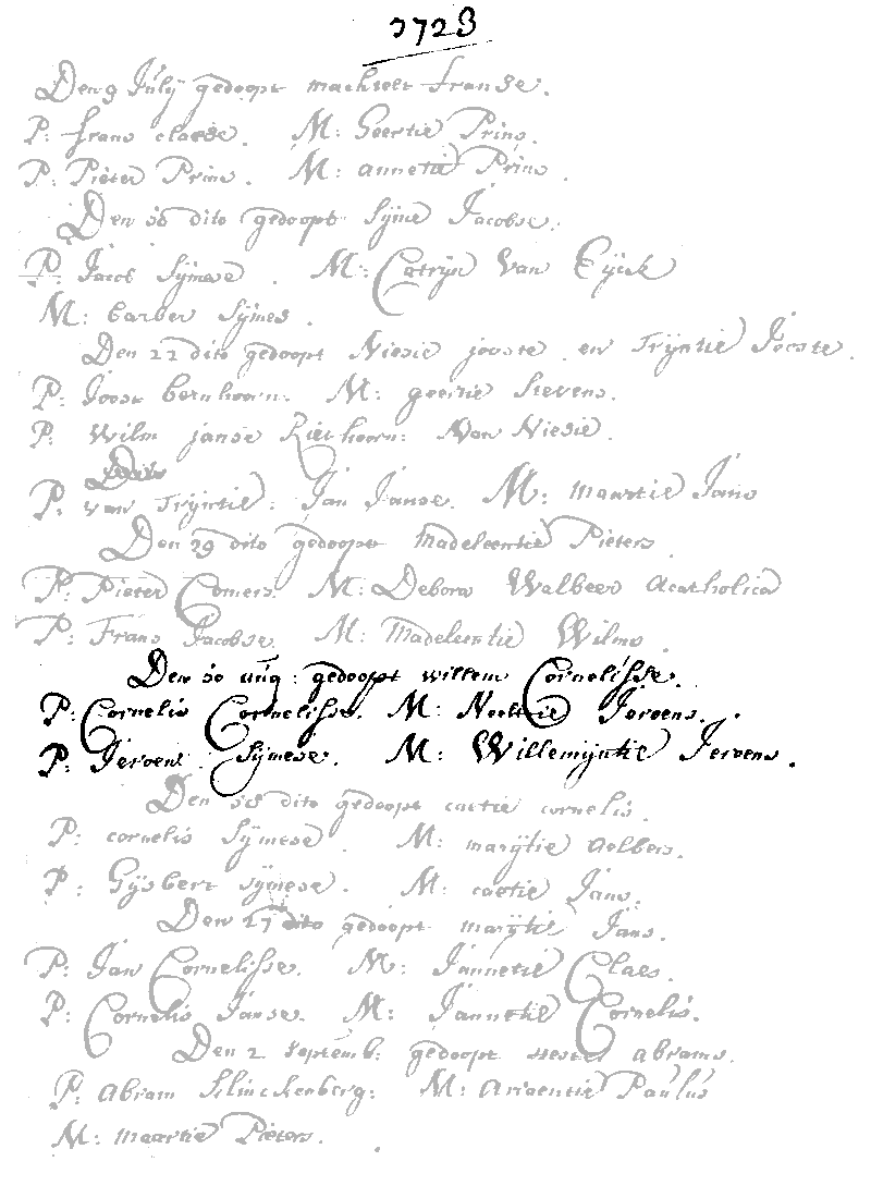 17230810 dp akte Willem C zv Cornelis C d Hollander - Neeltje J Langevelt